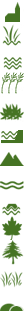 Struiken